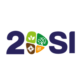 Logo 2DSI